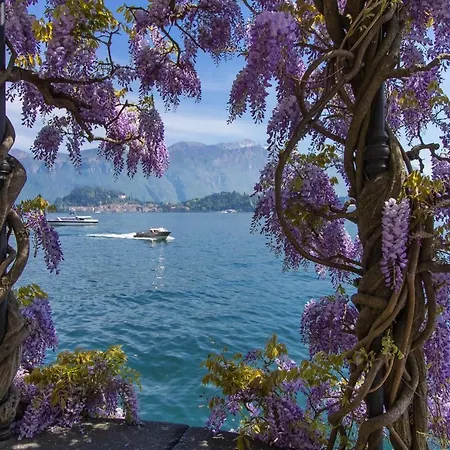 Appartamento Isola Vista - Terrazzo